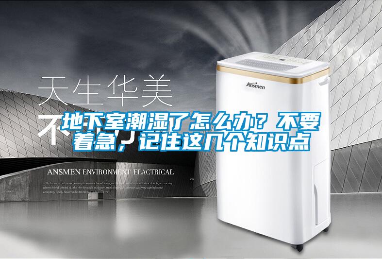 地下室潮濕了怎么辦？不要著急，記住這幾個(gè)知識點(diǎn)