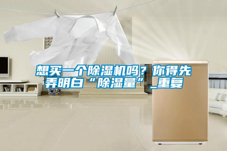 想買一個除濕機嗎？你得先弄明白“除濕量”_重復