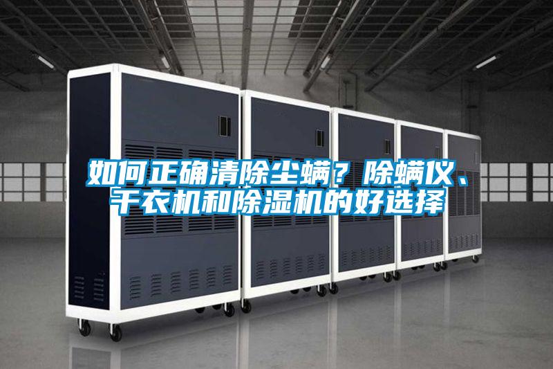 如何正確清除塵螨？除螨儀、干衣機和除濕機的好選擇
