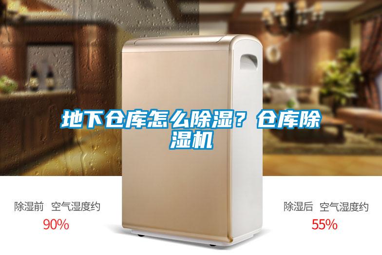 地下倉(cāng)庫(kù)怎么除濕？倉(cāng)庫(kù)除濕機(jī)