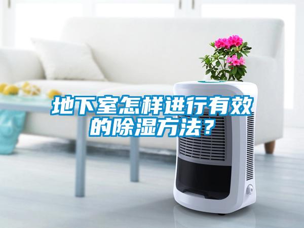 地下室怎樣進(jìn)行有效的除濕方法？
