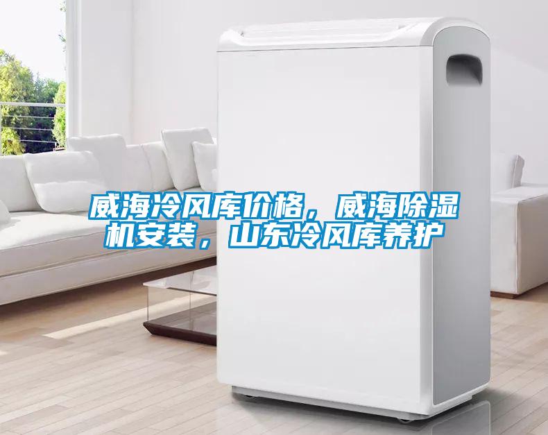 威海冷風(fēng)庫價(jià)格，威海除濕機(jī)安裝，山東冷風(fēng)庫養(yǎng)護(hù)