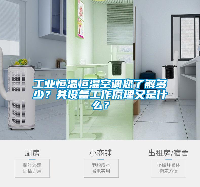 工業(yè)恒溫恒濕空調(diào)您了解多少？其設(shè)備工作原理又是什么？
