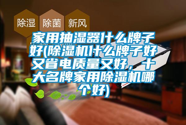 家用抽濕器什么牌子好(除濕機(jī)什么牌子好又省電質(zhì)量又好，十大名牌家用除濕機(jī)哪個(gè)好)