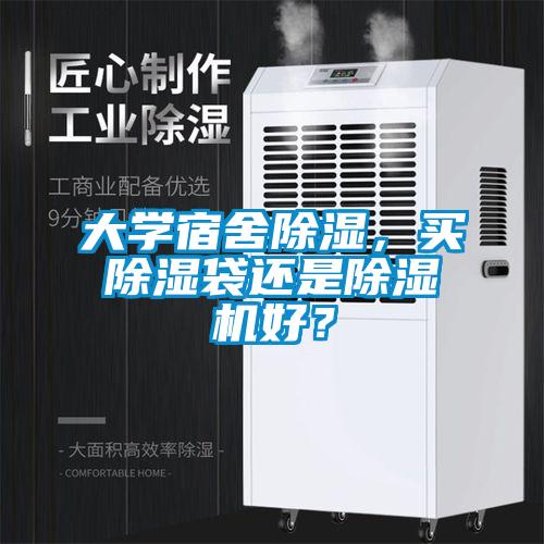 大學(xué)宿舍除濕，買除濕袋還是除濕機好？
