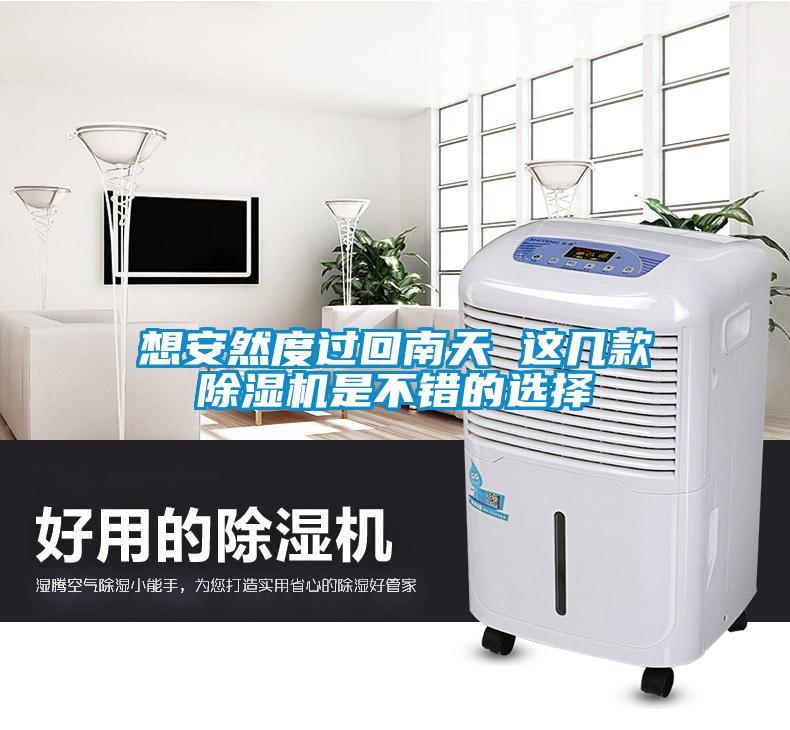 想安然度過回南天 這幾款除濕機(jī)是不錯(cuò)的選擇