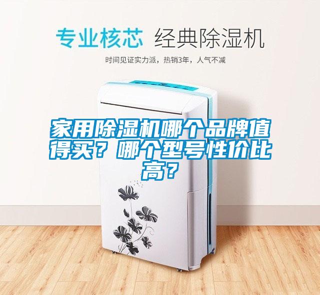 家用除濕機(jī)哪個(gè)品牌值得買？哪個(gè)型號(hào)性價(jià)比高？