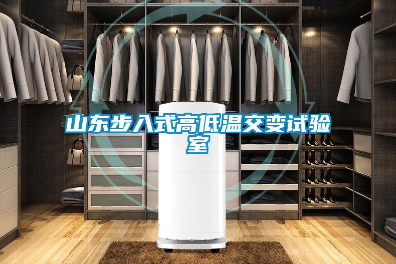 山東步入式高低溫交變?cè)囼?yàn)室