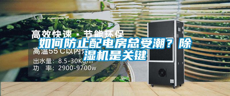 如何防止配電房總受潮？除濕機是關鍵
