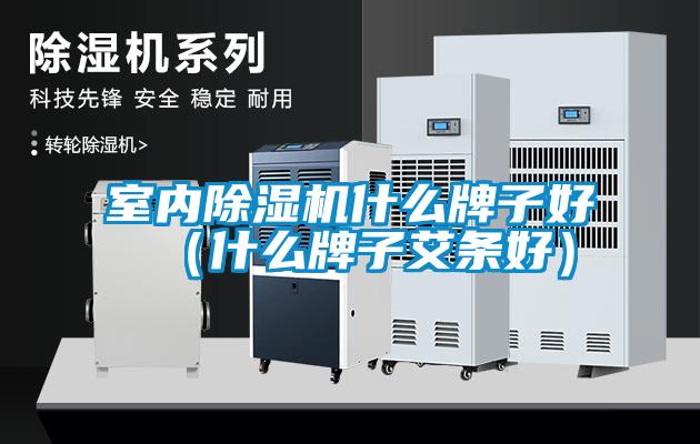 室內(nèi)除濕機什么牌子好（什么牌子艾條好）