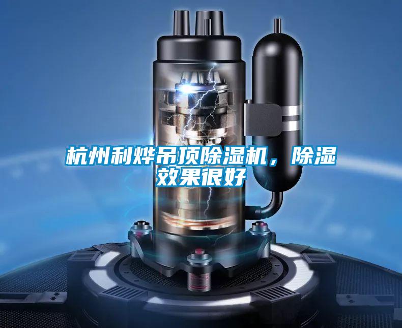 杭州利燁吊頂除濕機(jī)，除濕效果很好
