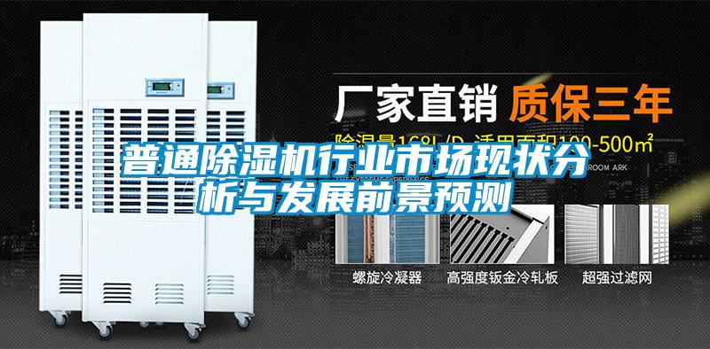 普通除濕機(jī)行業(yè)市場(chǎng)現(xiàn)狀分析與發(fā)展前景預(yù)測(cè)