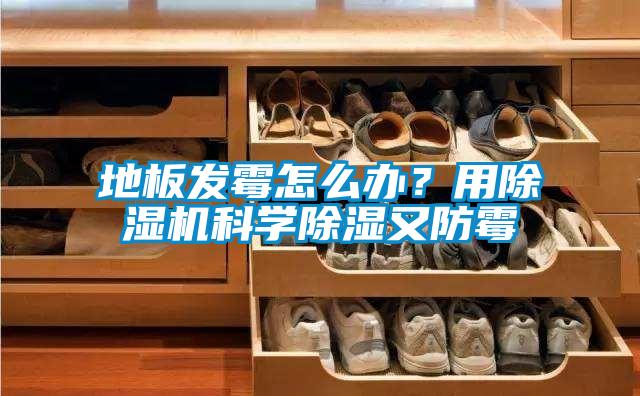 地板發(fā)霉怎么辦？用除濕機(jī)科學(xué)除濕又防霉