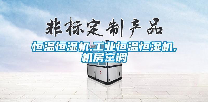 恒溫恒濕機(jī),工業(yè)恒溫恒濕機(jī),機(jī)房空調(diào)