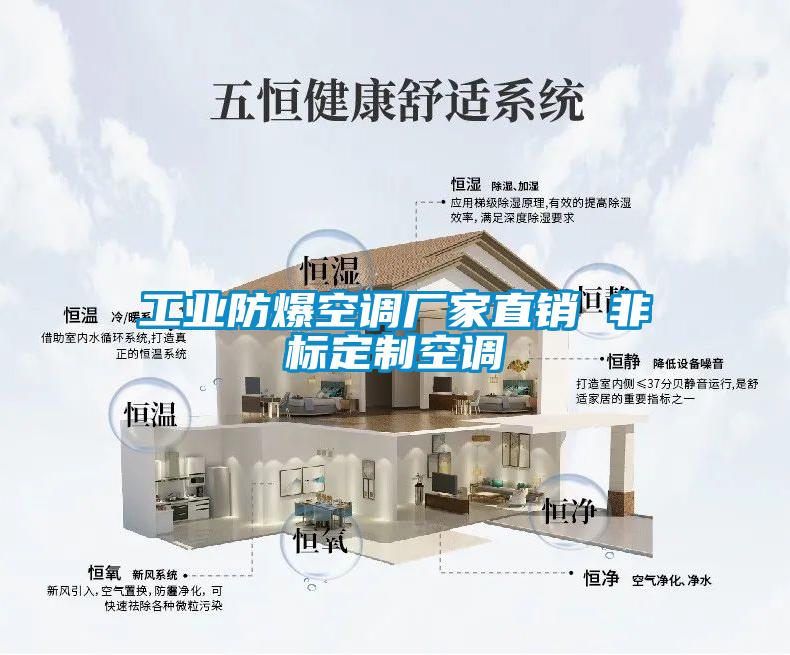 工業(yè)防爆空調(diào)廠家直銷 非標(biāo)定制空調(diào)