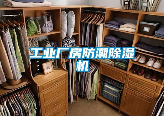 工業(yè)廠(chǎng)房防潮除濕機(jī)