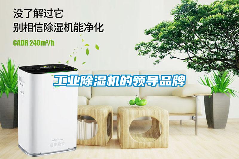 工業(yè)除濕機的領(lǐng)導(dǎo)品牌