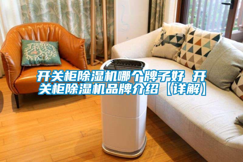 開(kāi)關(guān)柜除濕機(jī)哪個(gè)牌子好 開(kāi)關(guān)柜除濕機(jī)品牌介紹【詳解】