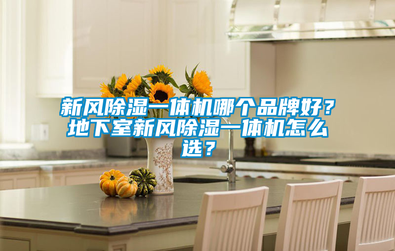 新風(fēng)除濕一體機(jī)哪個(gè)品牌好？地下室新風(fēng)除濕一體機(jī)怎么選？