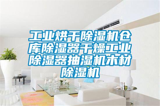 工業(yè)烘干除濕機倉庫除濕器干燥工業(yè)除濕器抽濕機木材除濕機