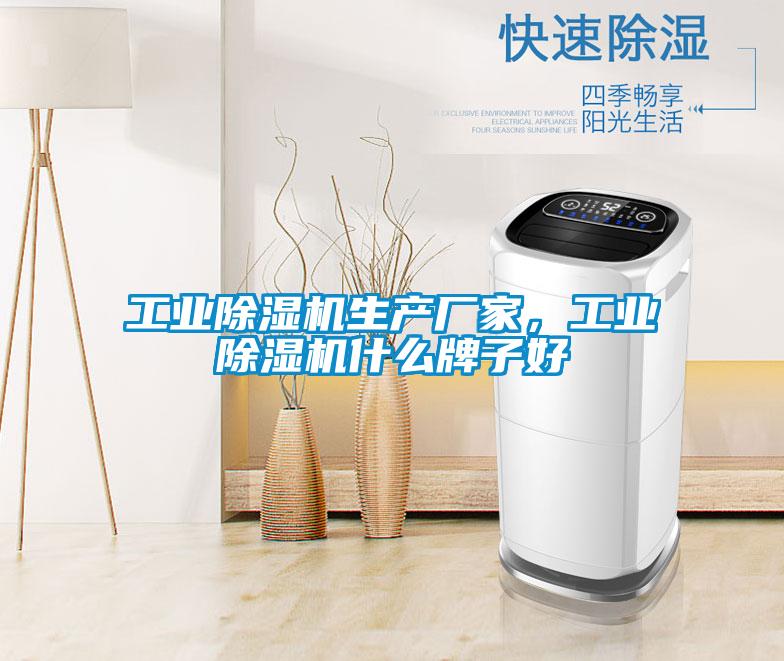 工業(yè)除濕機生產廠家，工業(yè)除濕機什么牌子好