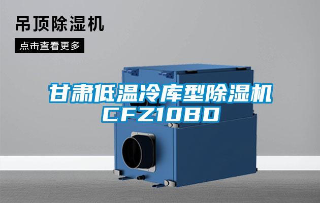 甘肅低溫冷庫型除濕機(jī)CFZ10BD