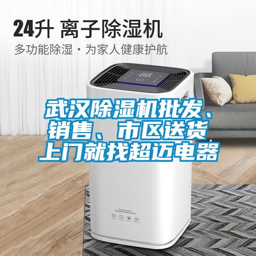 武漢除濕機(jī)批發(fā)、銷售、市區(qū)送貨上門就找超邁電器