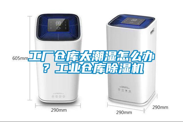 工廠倉庫太潮濕怎么辦？工業(yè)倉庫除濕機