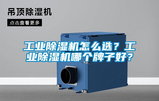 工業(yè)除濕機怎么選？工業(yè)除濕機哪個牌子好？