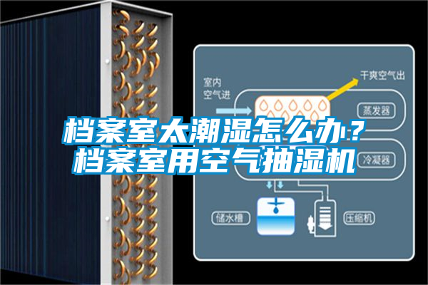 檔案室太潮濕怎么辦？檔案室用空氣抽濕機