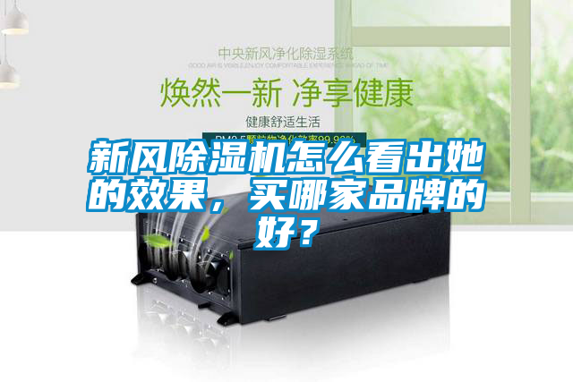 新風(fēng)除濕機(jī)怎么看出她的效果，買哪家品牌的好？