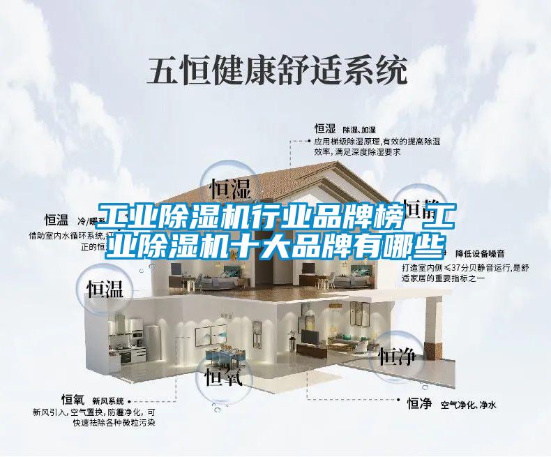 工業(yè)除濕機行業(yè)品牌榜 工業(yè)除濕機十大品牌有哪些
