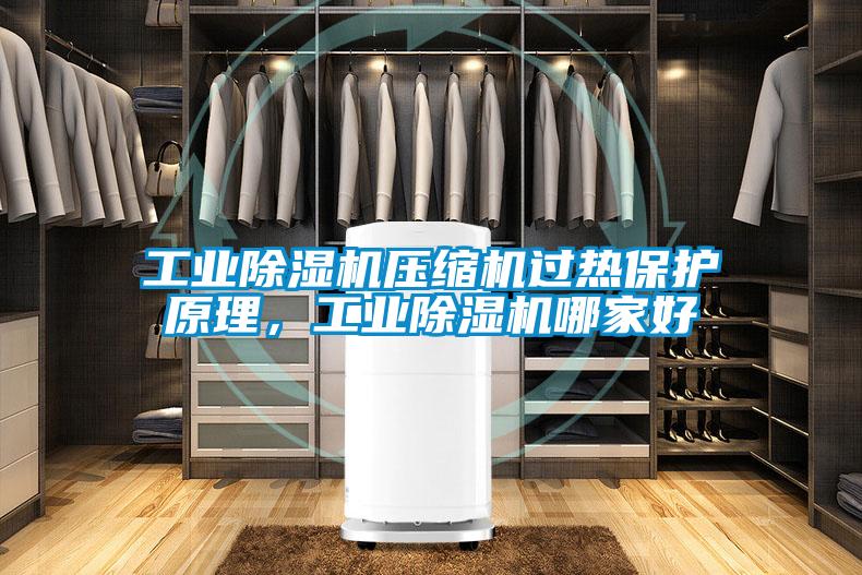 工業(yè)除濕機(jī)壓縮機(jī)過熱保護(hù)原理，工業(yè)除濕機(jī)哪家好