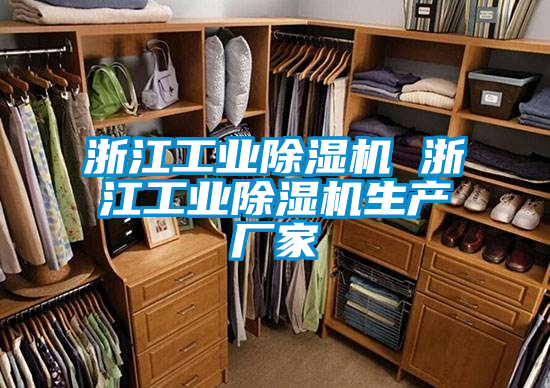 浙江工業(yè)除濕機 浙江工業(yè)除濕機生產廠家
