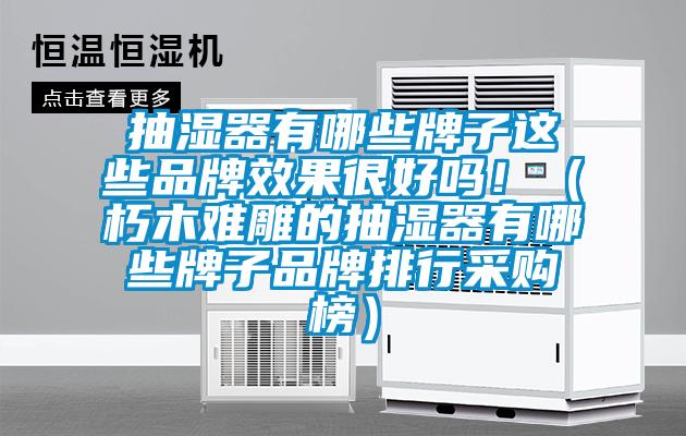 抽濕器有哪些牌子這些品牌效果很好嗎?。ㄐ嗄倦y雕的抽濕器有哪些牌子品牌排行采購榜）