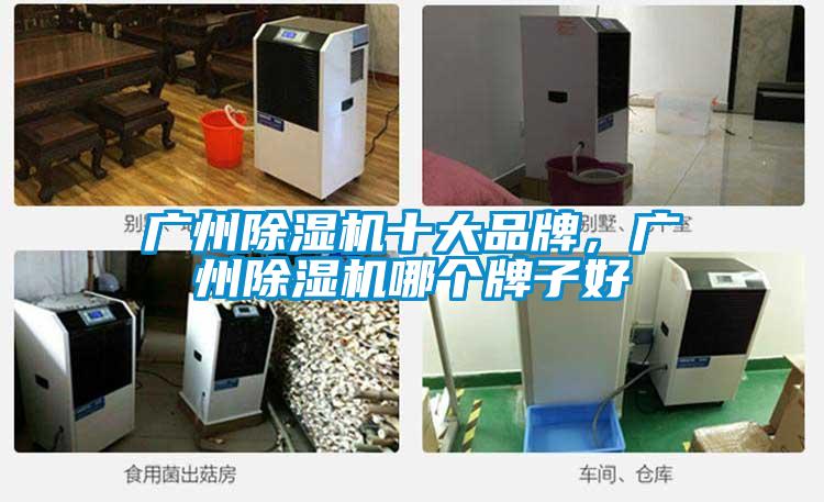 廣州除濕機十大品牌，廣州除濕機哪個牌子好