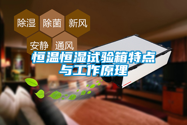 恒溫恒濕試驗(yàn)箱特點(diǎn)與工作原理