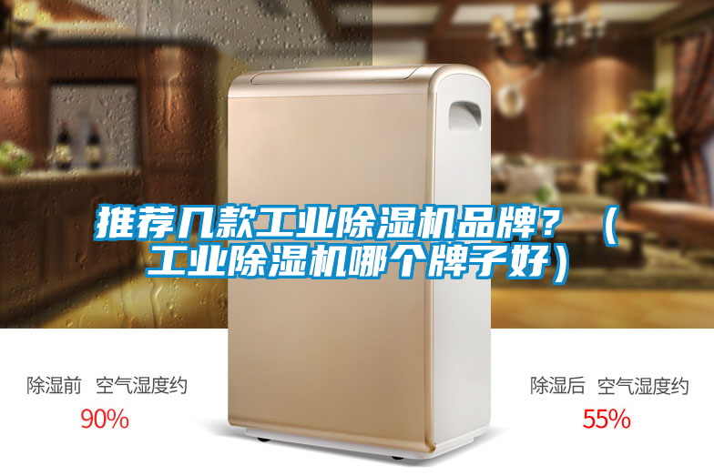 推薦幾款工業(yè)除濕機(jī)品牌？（工業(yè)除濕機(jī)哪個(gè)牌子好）