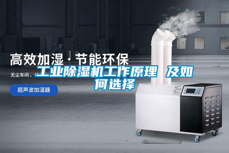 工業(yè)除濕機工作原理 及如何選擇