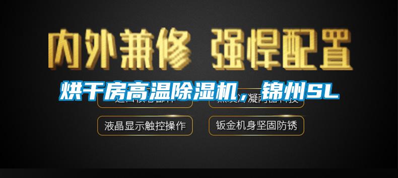 烘干房高溫除濕機(jī)，錦州SL
