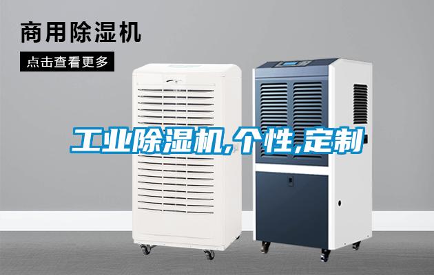 工業(yè)除濕機(jī),個性,定制