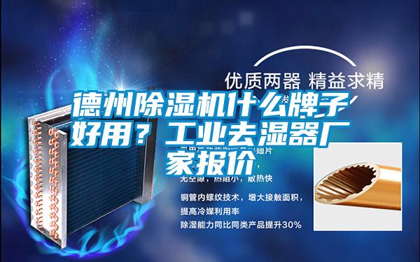 德州除濕機什么牌子好用？工業(yè)去濕器廠家報價