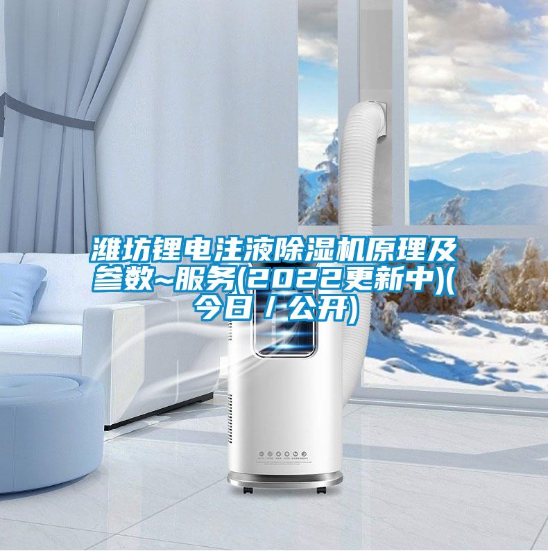 濰坊鋰電注液除濕機原理及參數(shù)~服務(2022更新中)(今日／公開)