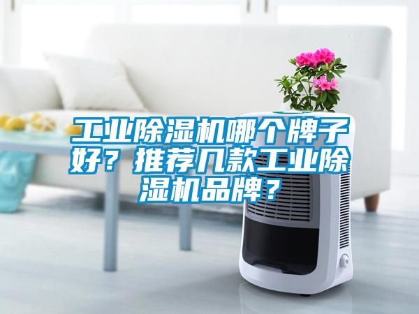 工業(yè)除濕機(jī)哪個(gè)牌子好？推薦幾款工業(yè)除濕機(jī)品牌？