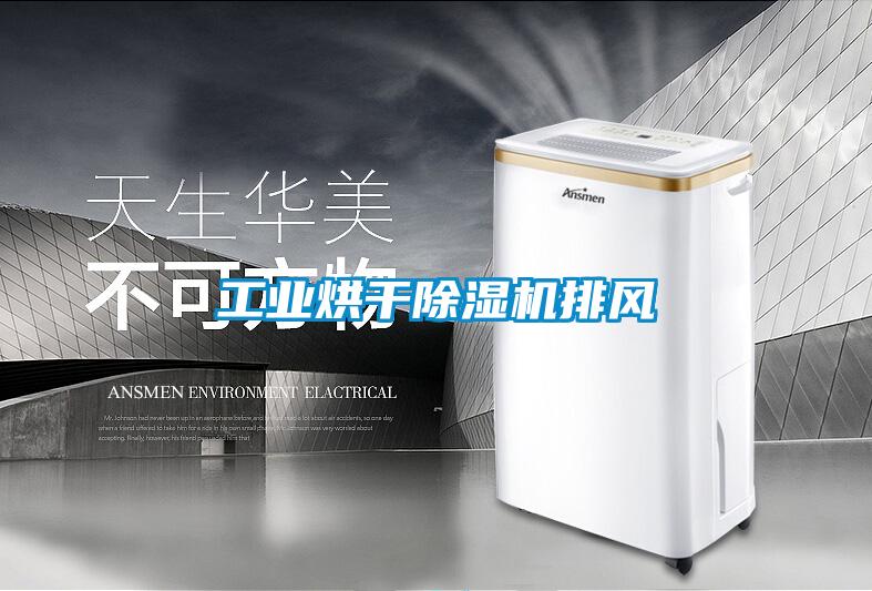 工業(yè)烘干除濕機(jī)排風(fēng)