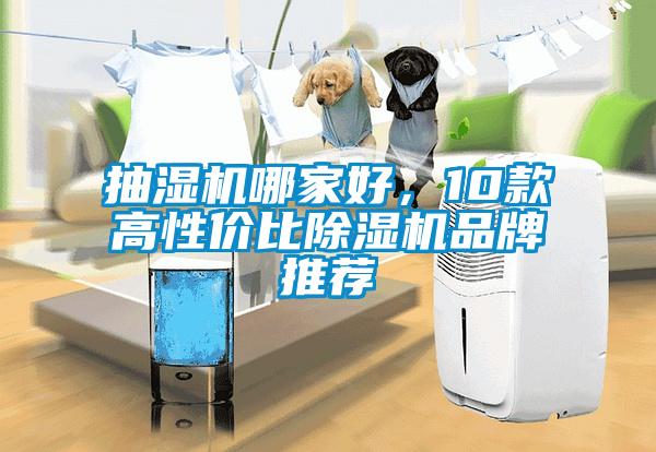 抽濕機(jī)哪家好，10款高性?xún)r(jià)比除濕機(jī)品牌推薦