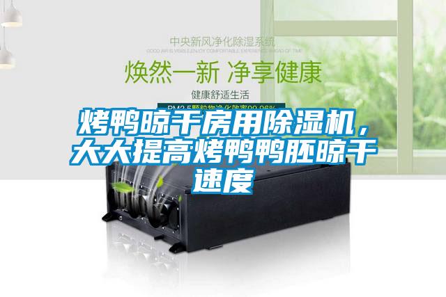 烤鴨晾干房用除濕機，大大提高烤鴨鴨胚晾干速度