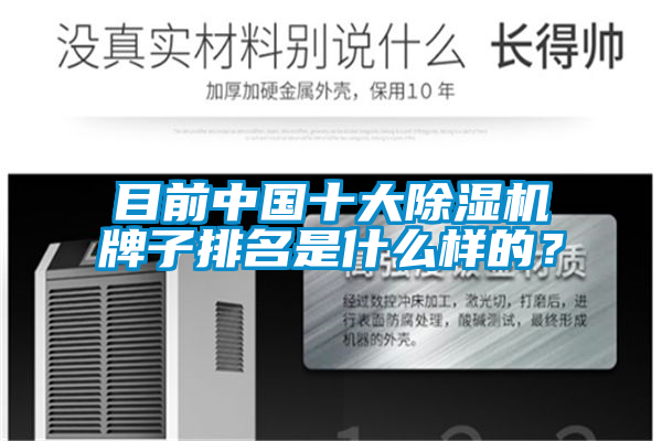 目前中國十大除濕機(jī)牌子排名是什么樣的？