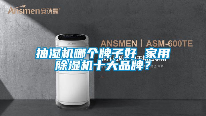 抽濕機哪個牌子好 家用除濕機十大品牌？