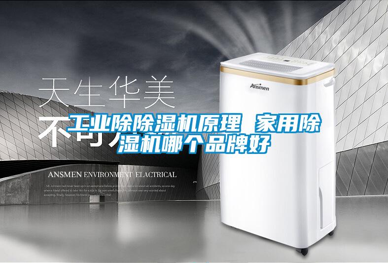工業(yè)除除濕機(jī)原理 家用除濕機(jī)哪個(gè)品牌好